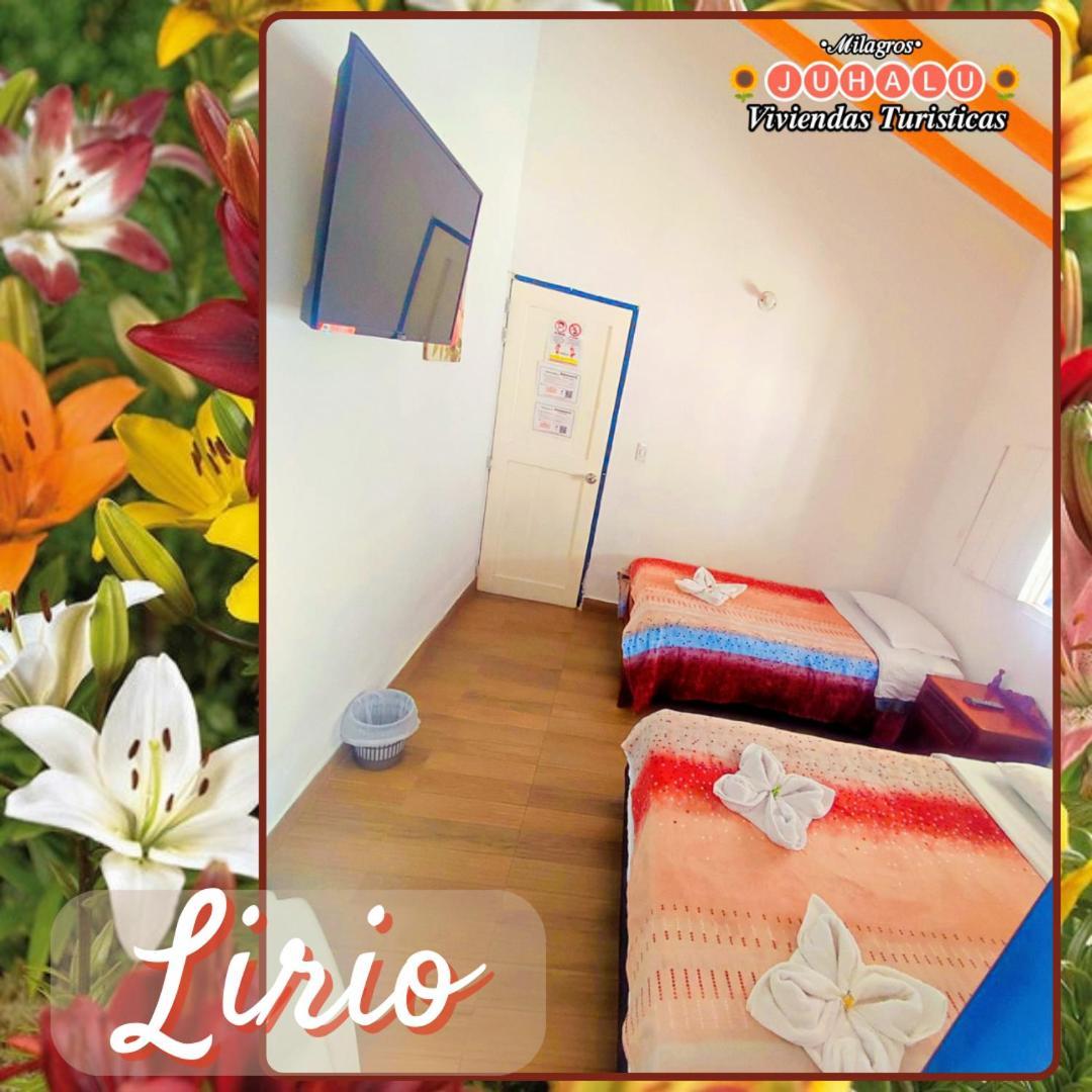 ᒍᑌᕼᗩᒪᑌ Hotell Jericoc  Rum bild