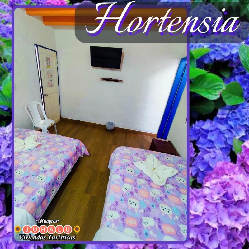 ᒍᑌᕼᗩᒪᑌ Hotell Jericoc  Rum bild