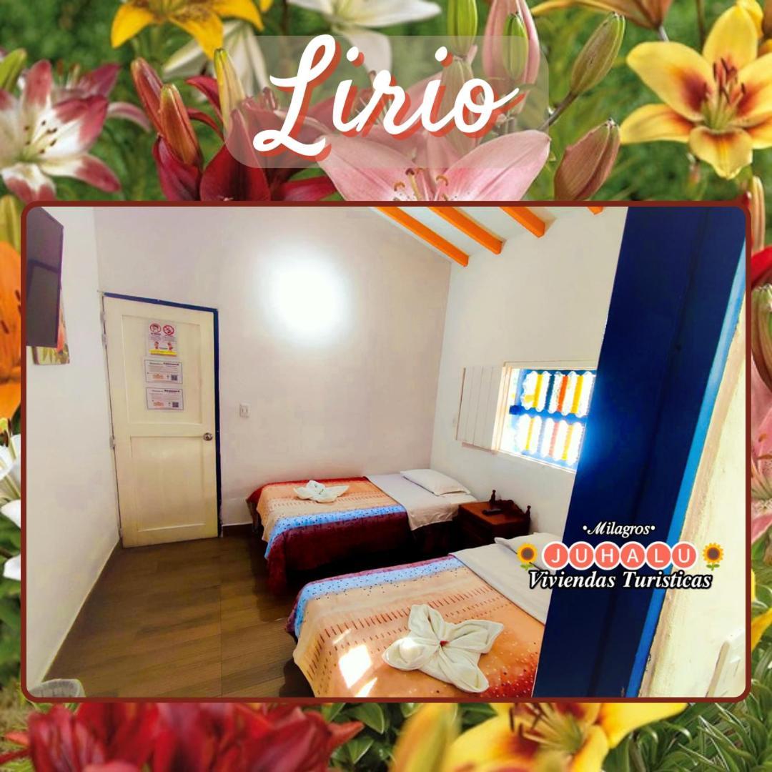ᒍᑌᕼᗩᒪᑌ Hotell Jericoc  Rum bild